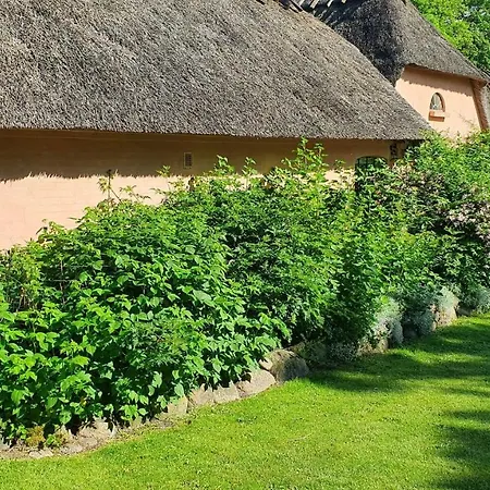 Liebhaveri I Saerklasse