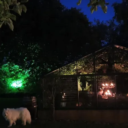 Liebhaveri I Saerklasse