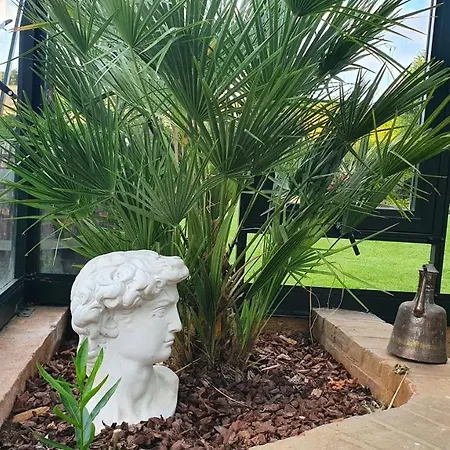 Liebhaveri I Saerklasse Årup