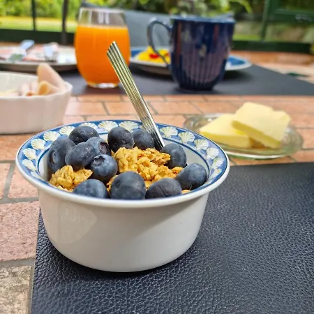 Liebhaveri I Saerklasse